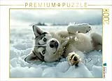 CALVENDO Puzzle Husky liegt im Schnee | 2000 Teile Lege-Größe 90x67cm Foto-Puzzle für glückliche Stunden Spiel