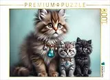 CALVENDO Puzzle Katzenmomente | 1000 Teile Lege-Größe 64x48cm Foto-Puzzle für glückliche Stunden Spiel