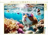 CALVENDO Puzzle Tauchabenteuer | 1000 Teile Lege-Größe 64x48cm Foto-Puzzle für glückliche Stunden Spiel
