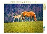 CALVENDO Puzzle Haflinger Stute mit Fohlen | 1000 Teile Lege-Größe 64x48cm Foto-Puzzle für glückliche Stunden Spiel
