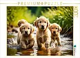CALVENDO Puzzle Golden Retriever Welpen | 2000 Teile Lege-Größe 90x67cm Foto-Puzzle für glückliche Stunden Spiel