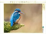 CALVENDO Puzzle Eisvogel Portrait | 2000 Teile Lege-Größe 90x67cm Foto-Puzzle für glückliche Stunden Spiel