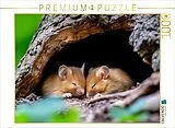 CALVENDO Puzzle Mäuse | 1000 Teile Lege-Größe 64x48cm Foto-Puzzle für glückliche Stunden Spiel