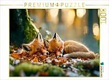 CALVENDO Puzzle Füchse | 1000 Teile Lege-Größe 64x48cm Foto-Puzzle für glückliche Stunden Spiel