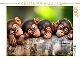 CALVENDO Puzzle Affen | 2000 Teile Lege-Größe 90x67cm Foto-Puzzle für glückliche Stunden Spiel