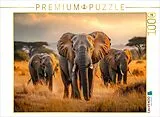 CALVENDO Puzzle Elefanten | 1000 Teile Lege-Größe 64x48cm Foto-Puzzle für glückliche Stunden Spiel