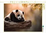 CALVENDO Puzzle Ob man hier wohl in Ruhe schlafen kann | 1000 Teile Lege-Größe 64x48cm Foto-Puzzle für glückliche Stunden Spiel