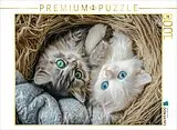 CALVENDO Puzzle Katzen Illustrationen | 1000 Teile Lege-Größe 64x48cm Foto-Puzzle für glückliche Stunden Spiel