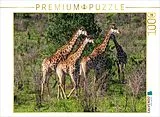 CALVENDO Puzzle Giraffen unterwegs zum Wasserloch, Südafrika | 1000 Teile Lege-Größe 64x48cm Foto-Puzzle für glückliche Stunden Spiel