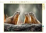 CALVENDO Puzzle Hört ihr das auch? | 1000 Teile Lege-Größe 64x48cm Foto-Puzzle für glückliche Stunden Spiel