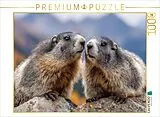 CALVENDO Puzzle Wir gehören zusammen | 1000 Teile Lege-Größe 64x48cm Foto-Puzzle für glückliche Stunden Spiel
