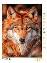CALVENDO Puzzle Mexikanischer Wolf mit intensivem Blick in warmem Licht | 1000 Teile Lege-Größe 64x48cm Foto-Puzzle für glückliche Stunden Spiel