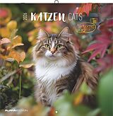 Kalender Alpha Edition - Katzen Kalender 2026  Broschürenkalender 30x30 cm (30x60 cm geöffnet)  Wandkalender & Bildkalender für Katzenliebhaber  mit Feiertagen, Monatsübersichten & Platz für Notizen von 