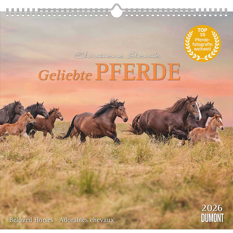 Geliebte Pferde 2026  DUMONT-Wandkalender  Pferdefotografie von Christiane Slawik Format  38,0 x 35,5 cm