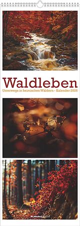 Kalender Alpha Edition - Waldleben Triplets 2026  Streifenkalender XXL 25×69 cm im Hochformat mit 12 Naturmotiven, Bildkalender mit Triplets-Design für Naturliebhaber & stimmungsvolle Wanddekoration von 