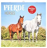 Kalender Pferde 2027 von