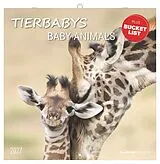 Kalender Tierbabys 2027 von 