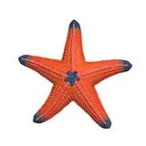 Schleich 14902 - Wild Life, Seestern mit Farbwechsel Spiel