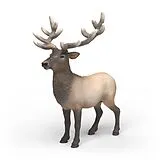 Schleich 14992 - Wild Life, Amerikanischer Rothirsch, Tierfigur Spiel