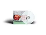 Vianova Vinyl Hit It!