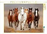 CALVENDO Puzzle Wild lebende Mustangs im Galopp | 1000 Teile Lege-Größe 64x48cm Foto-Puzzle für glückliche Stunden Spiel
