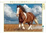 CALVENDO Puzzle Kraftvolles Clydesdale-Pferd in Bewegung | 1000 Teile Lege-Größe 64x48cm Foto-Puzzle für glückliche Stunden Spiel