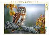 CALVENDO Puzzle Der Waldkauz in seinem Revier | 1000 Teile Lege-Größe 64x48cm Foto-Puzzle für glückliche Stunden Spiel