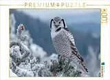 CALVENDO Puzzle Sperbereule im frostigen Nadelwald | 1000 Teile Lege-Größe 64x48cm Foto-Puzzle für glückliche Stunden Spiel
