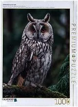 CALVENDO Puzzle Waldohreule im grünen Wald | 1000 Teile Lege-Größe 64x48cm Foto-Puzzle für glückliche Stunden Spiel