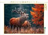 CALVENDO Puzzle Ein mächtiger Hirsch ruft während der Brunft im herbstlichen Wald und zeigt seine ganze Stärke und Präsenz. | 1000 Teile Lege-Größe 64x48cm Foto-Puzzle für glückliche Stunden Spiel