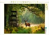 CALVENDO Puzzle Majestätischer Hirsch im Morgenlicht am Waldrand | 1000 Teile Lege-Größe 64x48cm Foto-Puzzle für glückliche Stunden Spiel