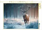 CALVENDO Puzzle Hirsch im Winterwald - Rotwild im frostigen Morgenlicht | 1000 Teile Lege-Größe 64x48cm Foto-Puzzle für glückliche Stunden Spiel
