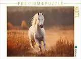 CALVENDO Puzzle Weißes Pferd, Freiheit in Bewegung | 1000 Teile Lege-Größe 64x48cm Foto-Puzzle für glückliche Stunden Spiel