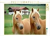 CALVENDO Puzzle Haflinger Pferde - Freunde | 1000 Teile Lege-Größe 64x48cm Foto-Puzzle für glückliche Stunden Spiel