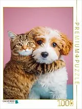 CALVENDO Puzzle Hund und Katze in Freundschaft - Cockerpoo mit getigerter Katze | 1000 Teile Lege-Größe 64x48cm Foto-Puzzle für glückliche Stunden Spiel