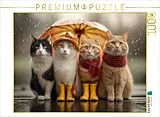 CALVENDO Puzzle Katzen im Regen mit Regenschirm | 1000 Teile Lege-Größe 64x48cm Foto-Puzzle für glückliche Stunden Spiel