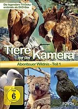 Tiere vor der Kamera - Abenteuer Wildnis 1 DVD