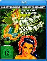 Gefangene Des Dschungels Blu-ray
