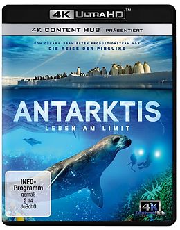 Antarktis - Leben am Limit Blu-ray UHD 4K