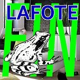Lafote Vinyl fin