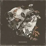 Baulta LP (analog) Another Second Chance
