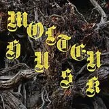 Abest LP (analog) Molten Husk (180gr.)