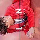 LIN Vinyl Colours