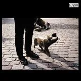 Ea 80 Vinyl Schweinegott (reissue)