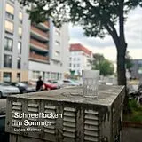 Lukas Meister CD Schneeflocken Im Sommer