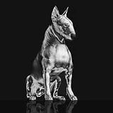 Riskee & The Ridicule LP (analog) Platinum Statue (clear Marbled Vinyl)