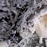 Welten Vinyl thaw