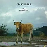Wolfgang U96/Flur CD Transhuman