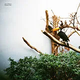 Jacob Bellens Vinyl Polyester Skin (Lp+Mp3) (Vinyl)