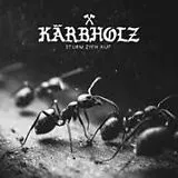 Kärbholz CD Sturm Zieh Auf (Digipak)